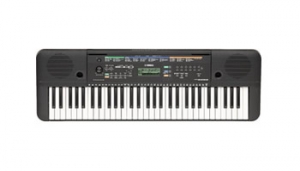 YAMAHA PSR-E253